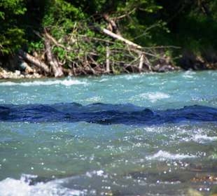 Am Fluss