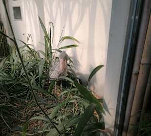 Zoologischer Garten Prag