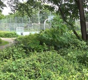 Sport- und Freizeiteinrichtung im Grieß