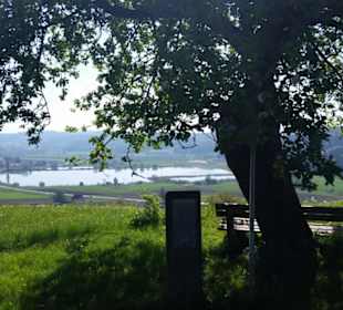 Blick hinunter zum Saazer Teich