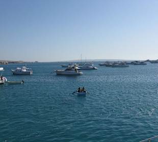 Ausblick vom Schiff auf den Hafen