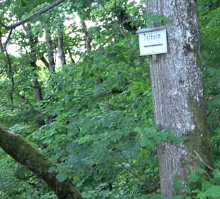 Burgruine Andeck Talheim