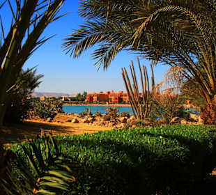 Rund um´s Turtle House