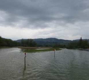 Fahrt mit dem Linienboot auf dem Alten Rhein