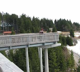 Waldwipfelweg Tolles Ausflugsziel