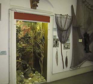 Stadt und Festungsmuseum Germersheim