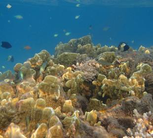 Rafa tuz przy hotelu