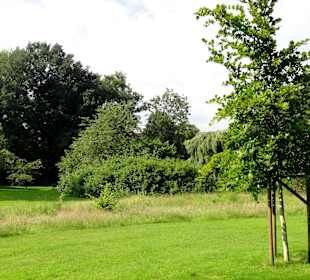 Spaziergang durch den Stadtpark