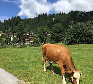 Wandern Gerlos