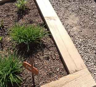 Arzneipflanzengarten Klosterreichenbach