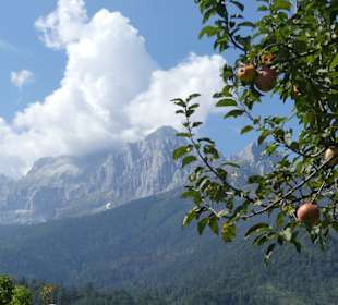 Ausblick von der Terrasse