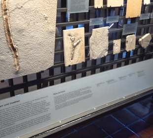 Jura-Museum