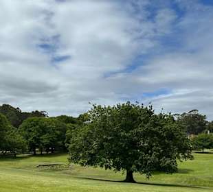 Port Arthur
