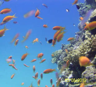 Bootseinfahrt am Strand - 5 m Tiefe