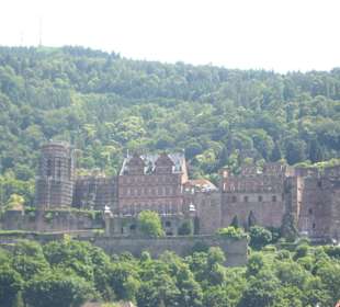 Integrado en la naturaleza