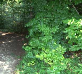 Premiumwanderweg "hochgesprudelt"