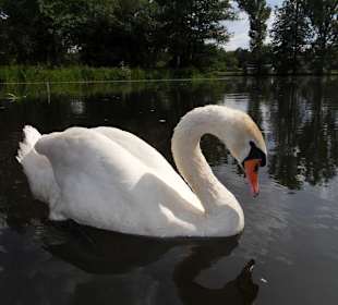 Ausflug im Spreewald