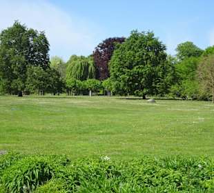 Rundgang durch den Berggarten Hannover