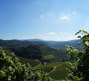 Wandern Oberkirch