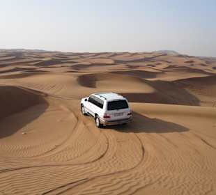 Wüstensafari fast wie in einer Werbung