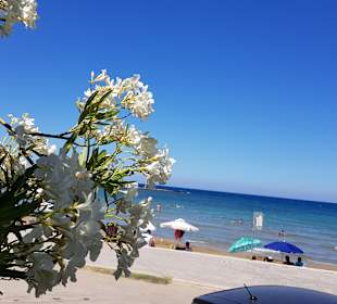 Strand Georgioupolis