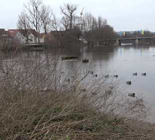 Wörth-Garten Nürtingen