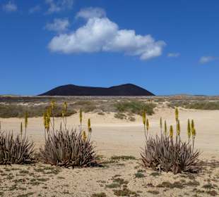 Auf der Insel La Graciosa 