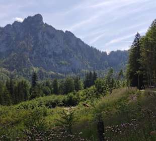 Weg zum Laudachsee