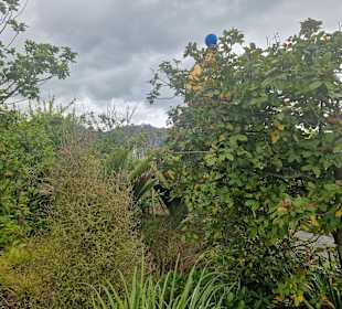 Hundertwasser Art Centre