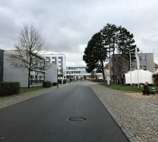 Dessau
