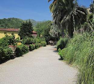 Garten und Villa Garzoni in Collodi
