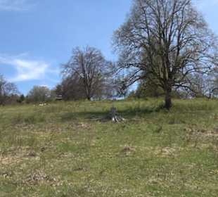 Rundweg am Beutenlay