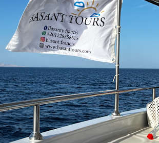 Mega Typ 100% deutschsprachig