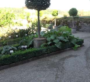 Bastionsgarten