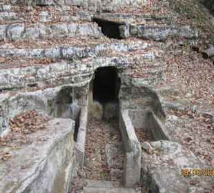 Hier geht`s rein zur "alte Wohnung"