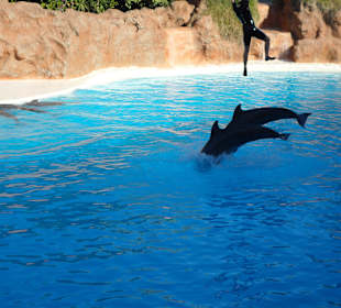 Loro Parque 