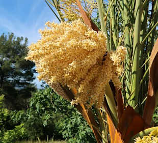 Kloster Profitis Ilias