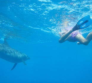 Das hat geflasht , so nah zu sein 