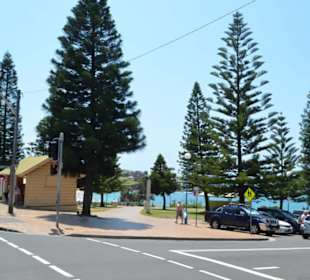 Coogee Beach