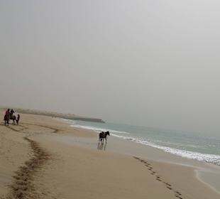 Mit den Pferden am Strand