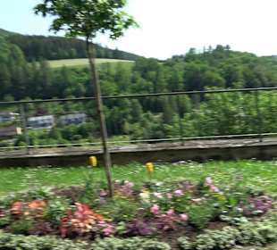 Kloster Maria Reuthin Wildberg