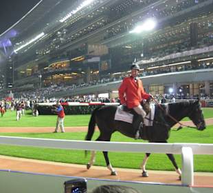 Dubai World Cup 2010