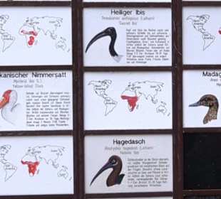 Tierpark 