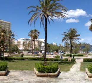 Panorama Cala Millor