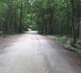 Burgruine Hohenneuffen