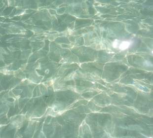 Strand am Hotel Hipotels Hipocampo Palace & Spa