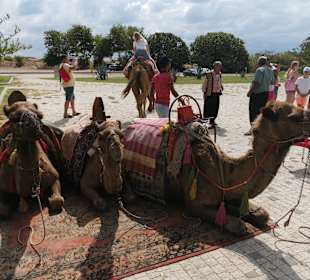Wandern Side - Kumköy