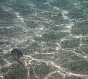Sharm el Naga