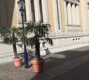Naturhistorisches Museum Basel
