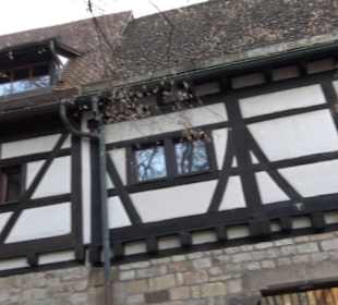 Scheuer beim Salzstadel